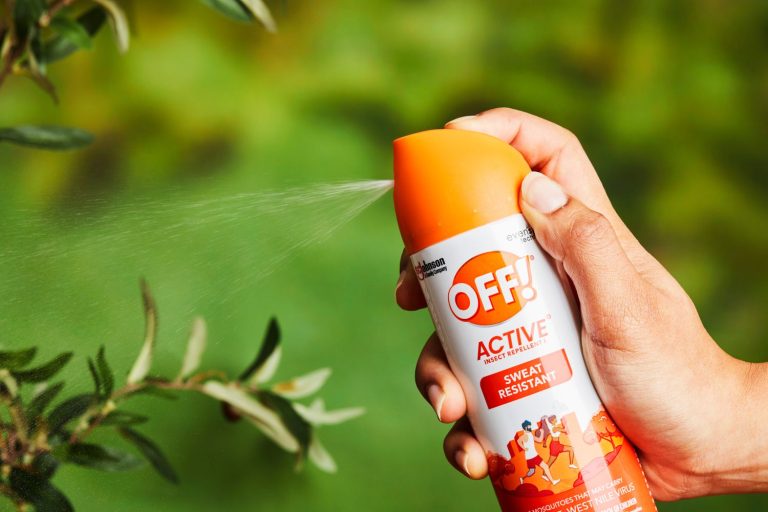 5 Best Camping Bug Repellents in 2025